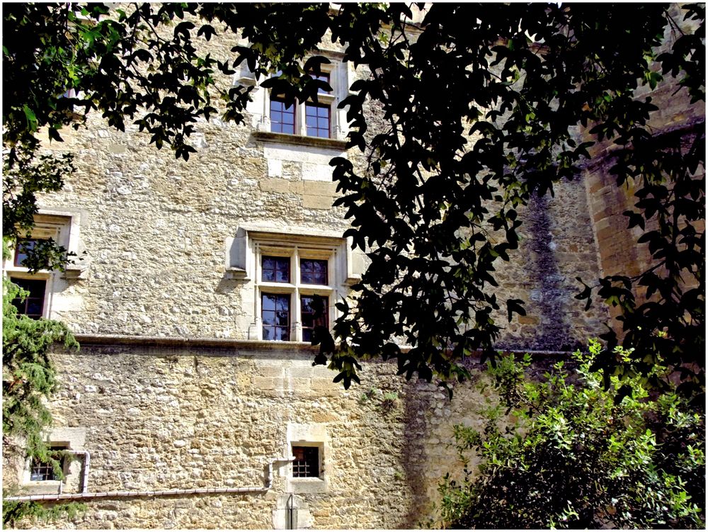 Les fenêtres du château