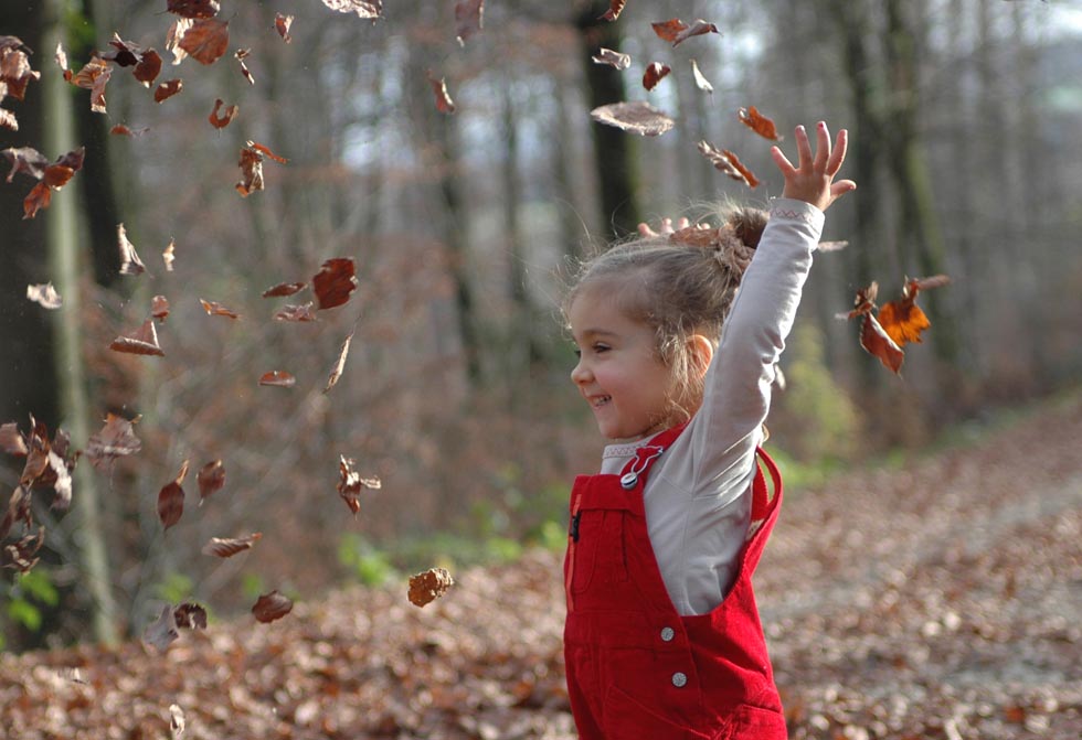 Les feuilles et Elsa