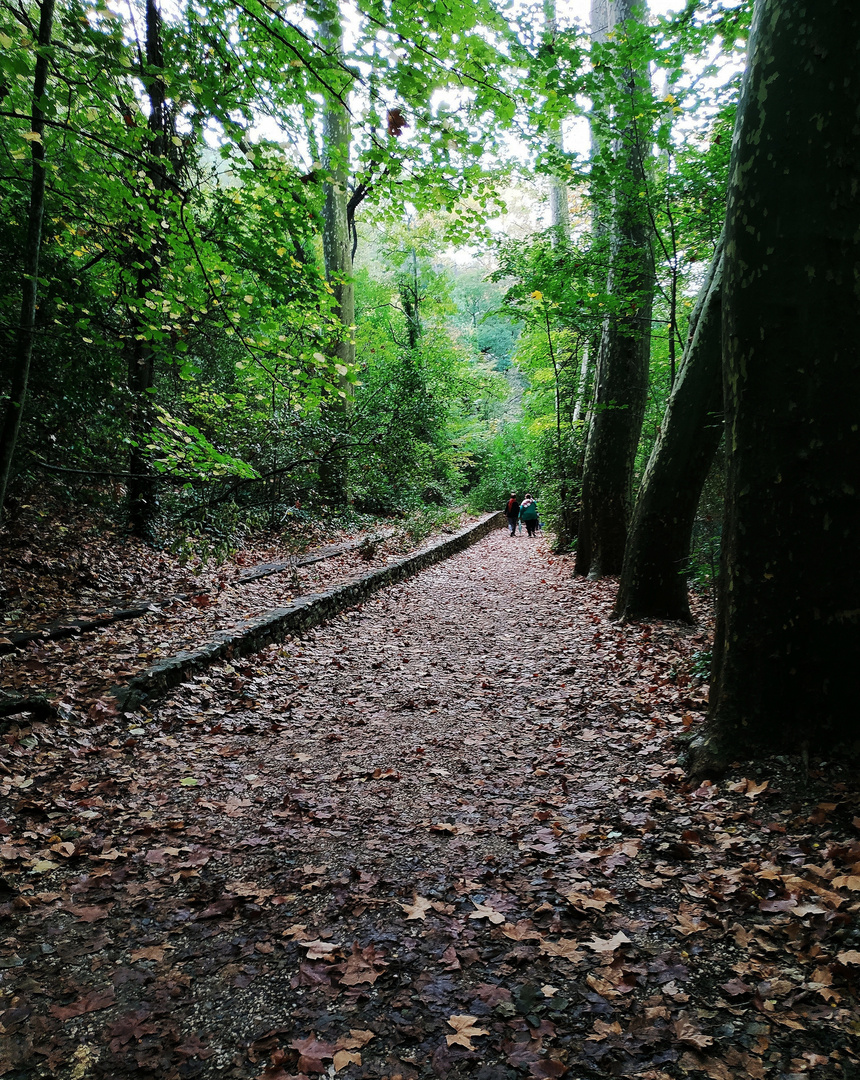 Les feuilles mortes