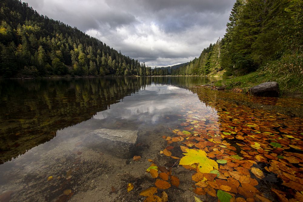 Les feuilles mortes