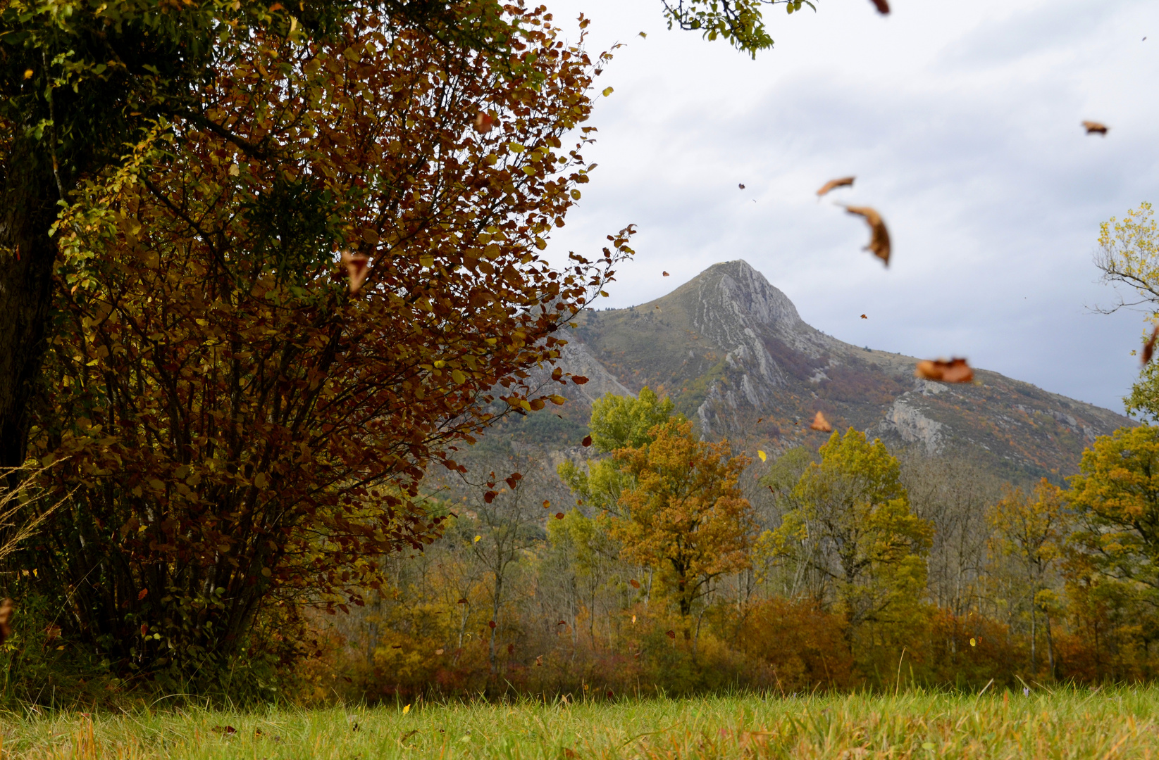  * les feuilles mortes s'envolent à l'automne *