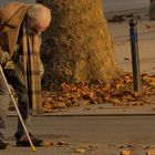 Les feuilles mortes sont difficiles à ramasser à la pelle