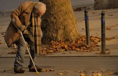 Les feuilles mortes sont difficiles à ramasser à la pelle