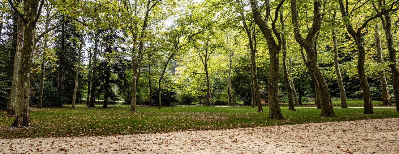 les feuilles tombent