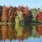 Les feux de l'automne