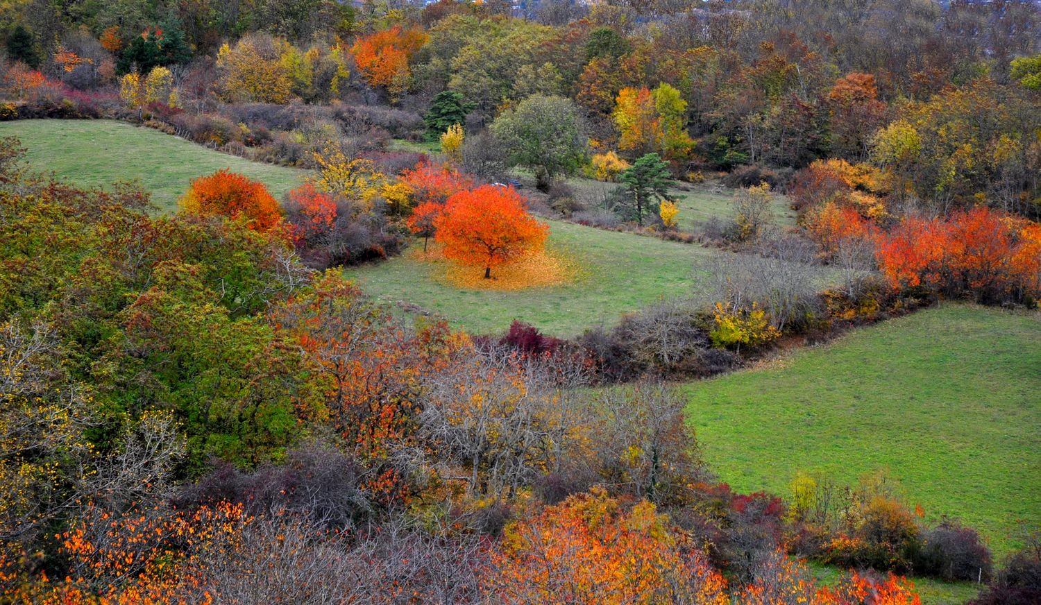 les feux de l'automne