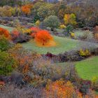 les feux de l'automne