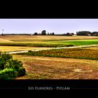 Les Flandres - Pitgam