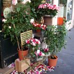 Les fleurs de Paris dans le Marais