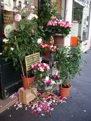 Les fleurs de Paris dans le Marais