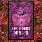 LES FLEURS DU M@IL PAGE DE COUVERTURE AVANT TOME 2