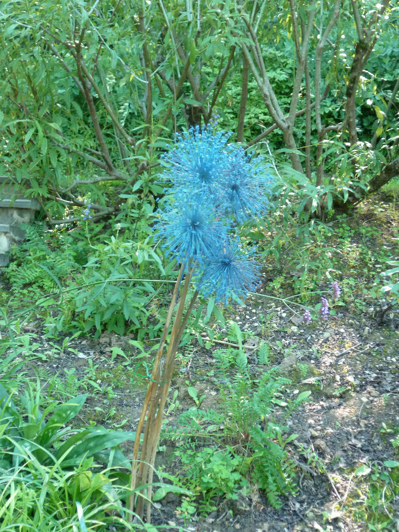 Les fleurs Feu d'artifice