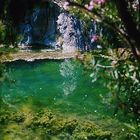 Les Fonts de L´Algar / Costa Blanca