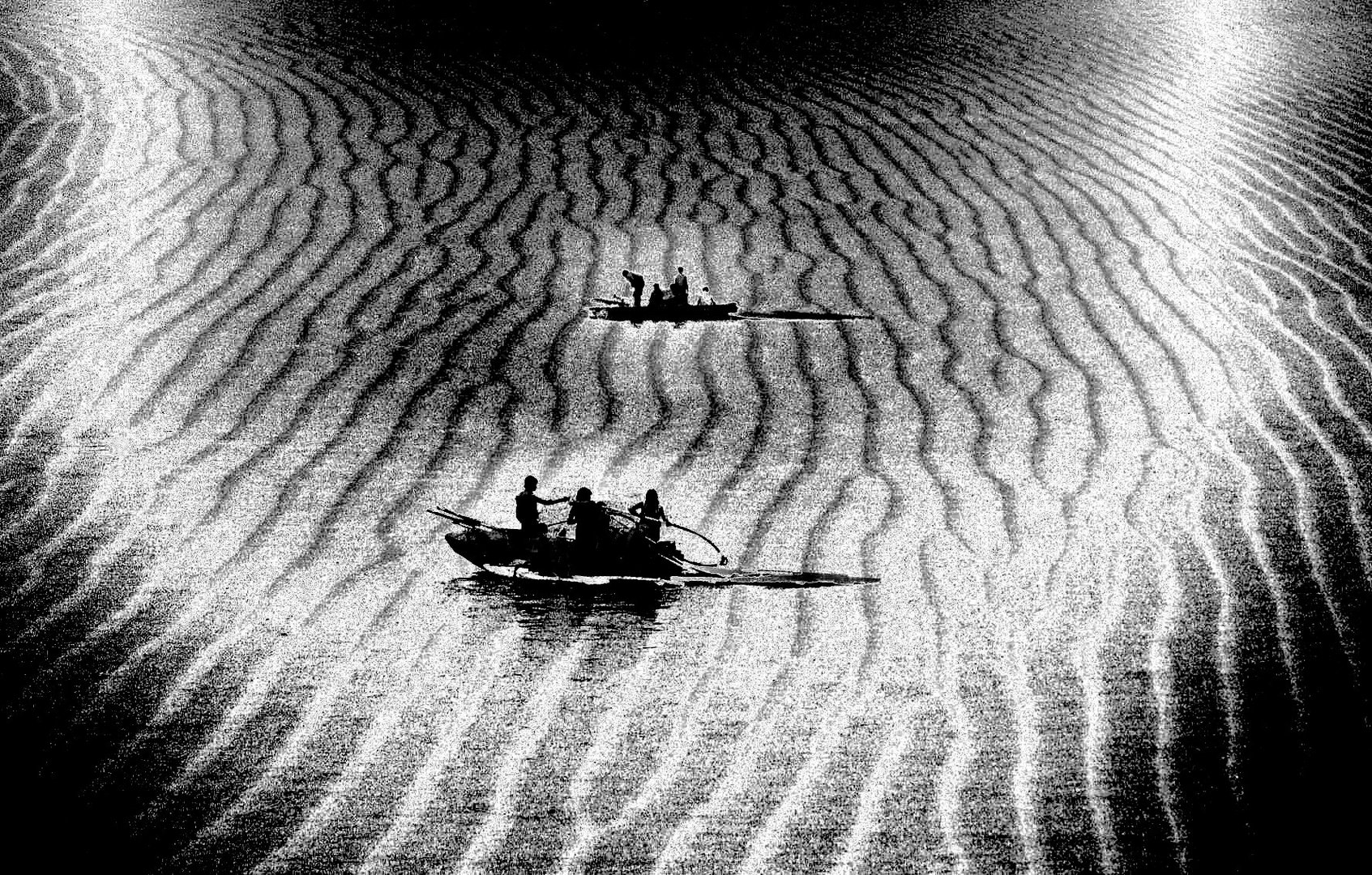 Les fous des sables