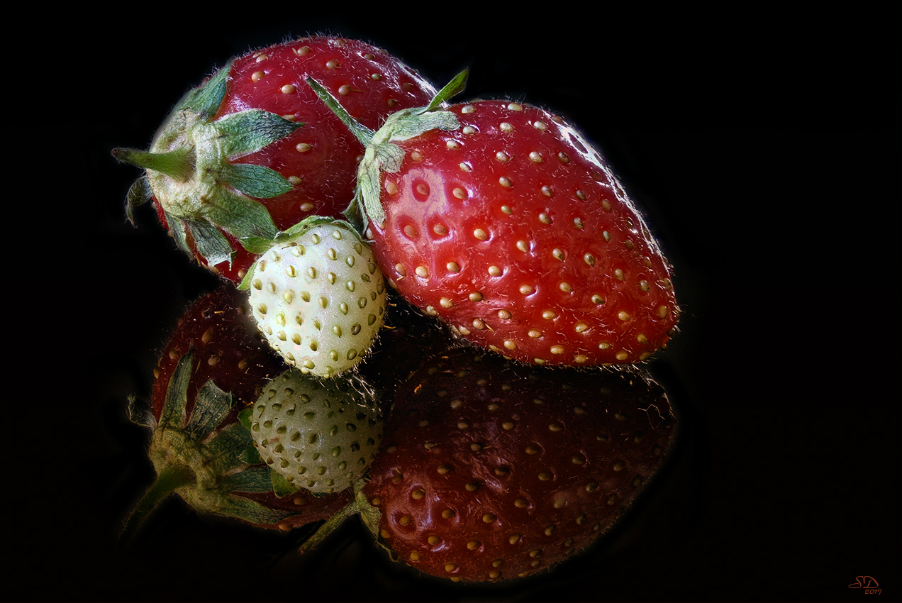 Les fraises.