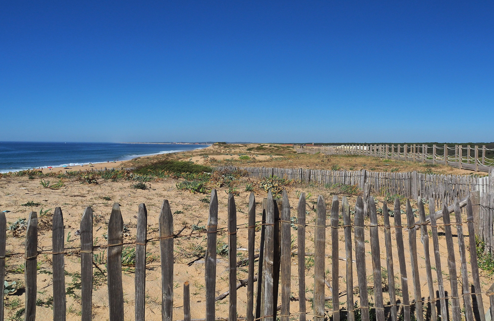 Les ganivelles de la plage de Labenne