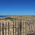 Les ganivelles de la plage de Labenne