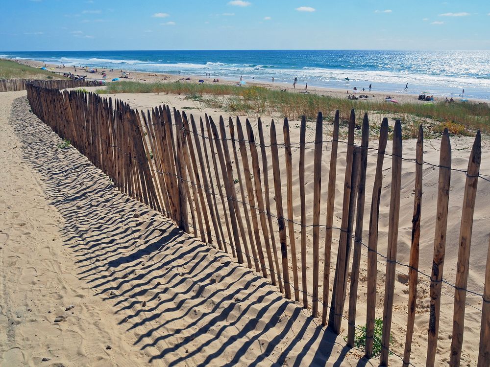 Les ganivelles de la plage de Mimizan Lespecier