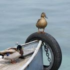 Les gardiens du bateau