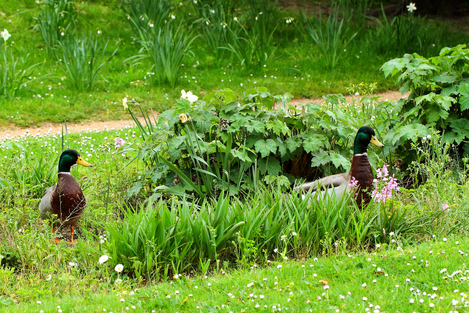 les gardiens du parc