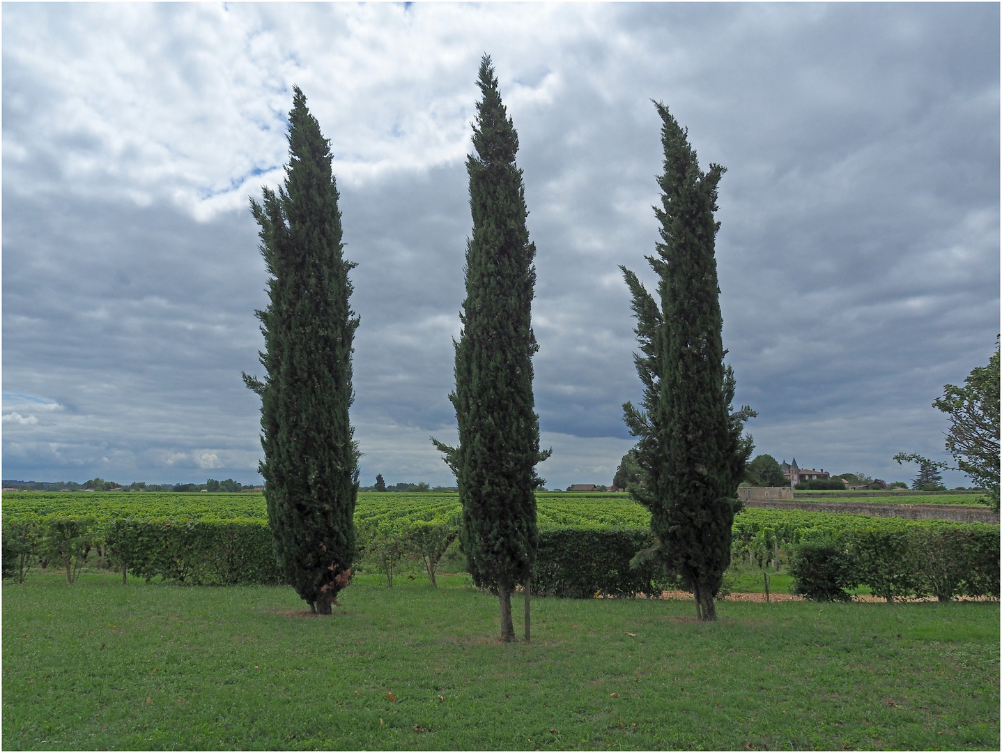 Les gardiens du vignoble