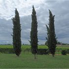 Les gardiens du vignoble