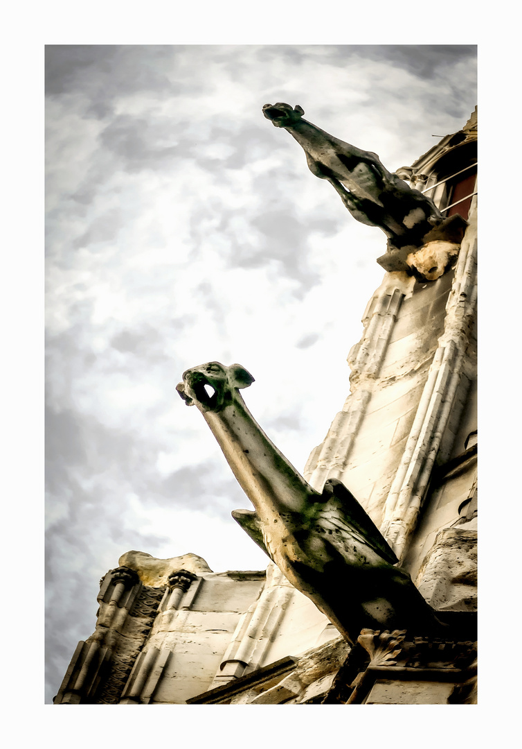 Les gargouilles photo et image europe, france, paris Images