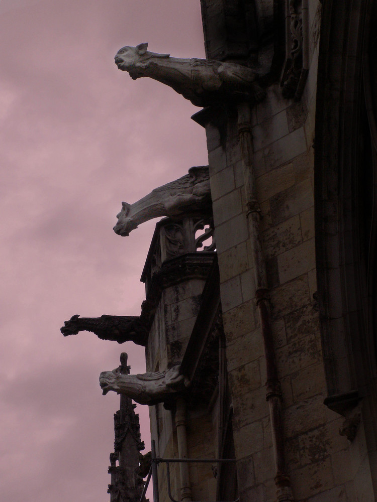 les gargouilles de Nevers.