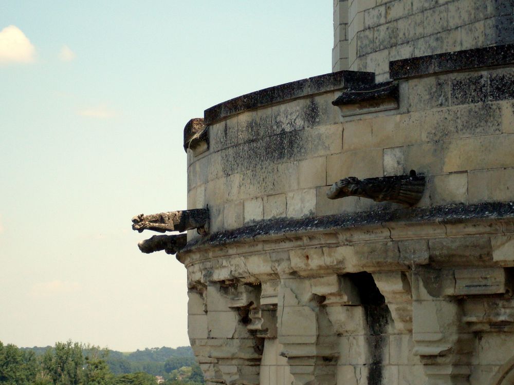 LES GARGOUILLES DU CHATEAU D ' AMBOISE