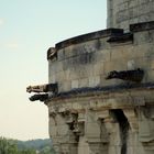 LES GARGOUILLES DU CHATEAU D ' AMBOISE