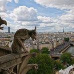 Les Gargouilles - Notre Dame