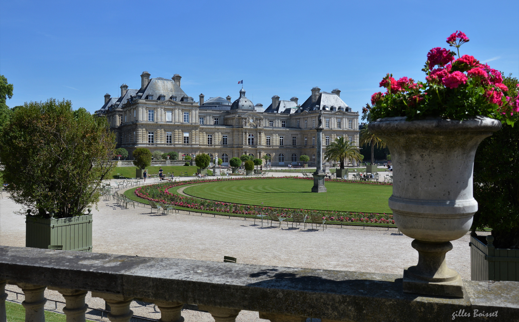 les géraniums du Luxembourg