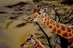 les Girafes 
