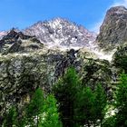 Les glaciers du Pelvoux