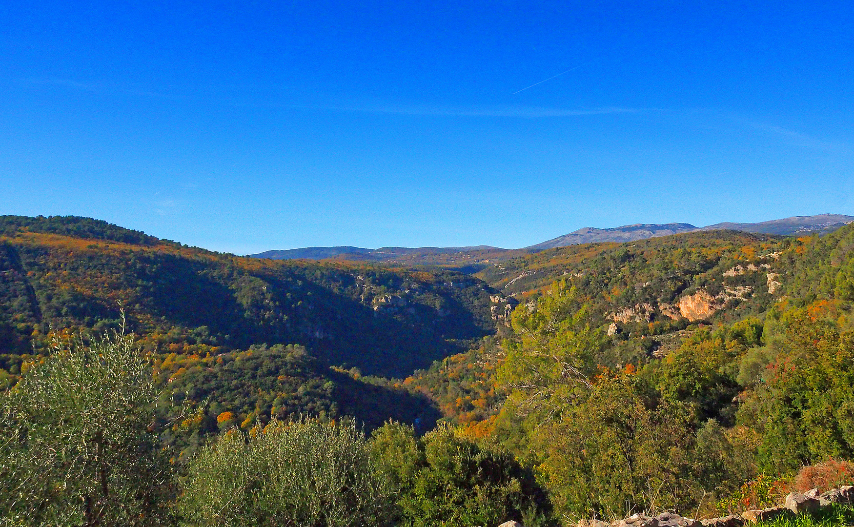 Les gorges de la Siagne