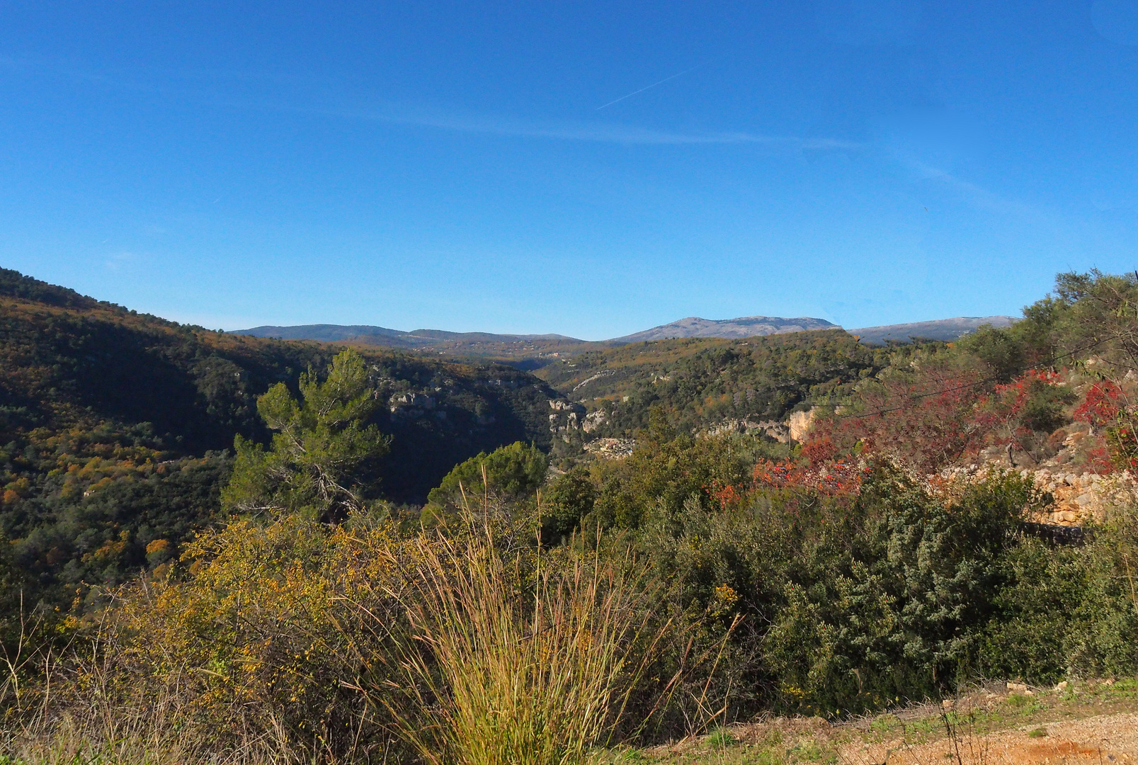 Les gorges de la Siagne