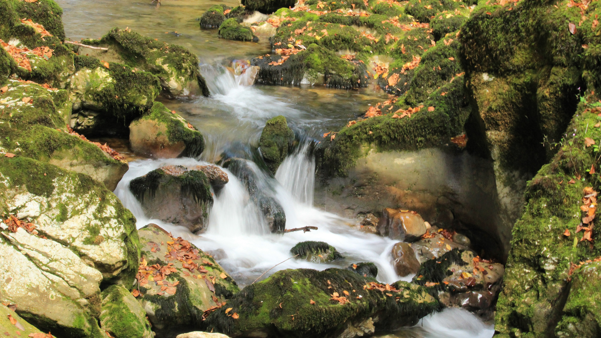 les gorges de l'Abime en automne Jura