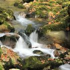 les gorges de l'Abime en automne Jura