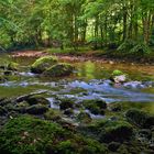 Les gorges de l'areuse 1