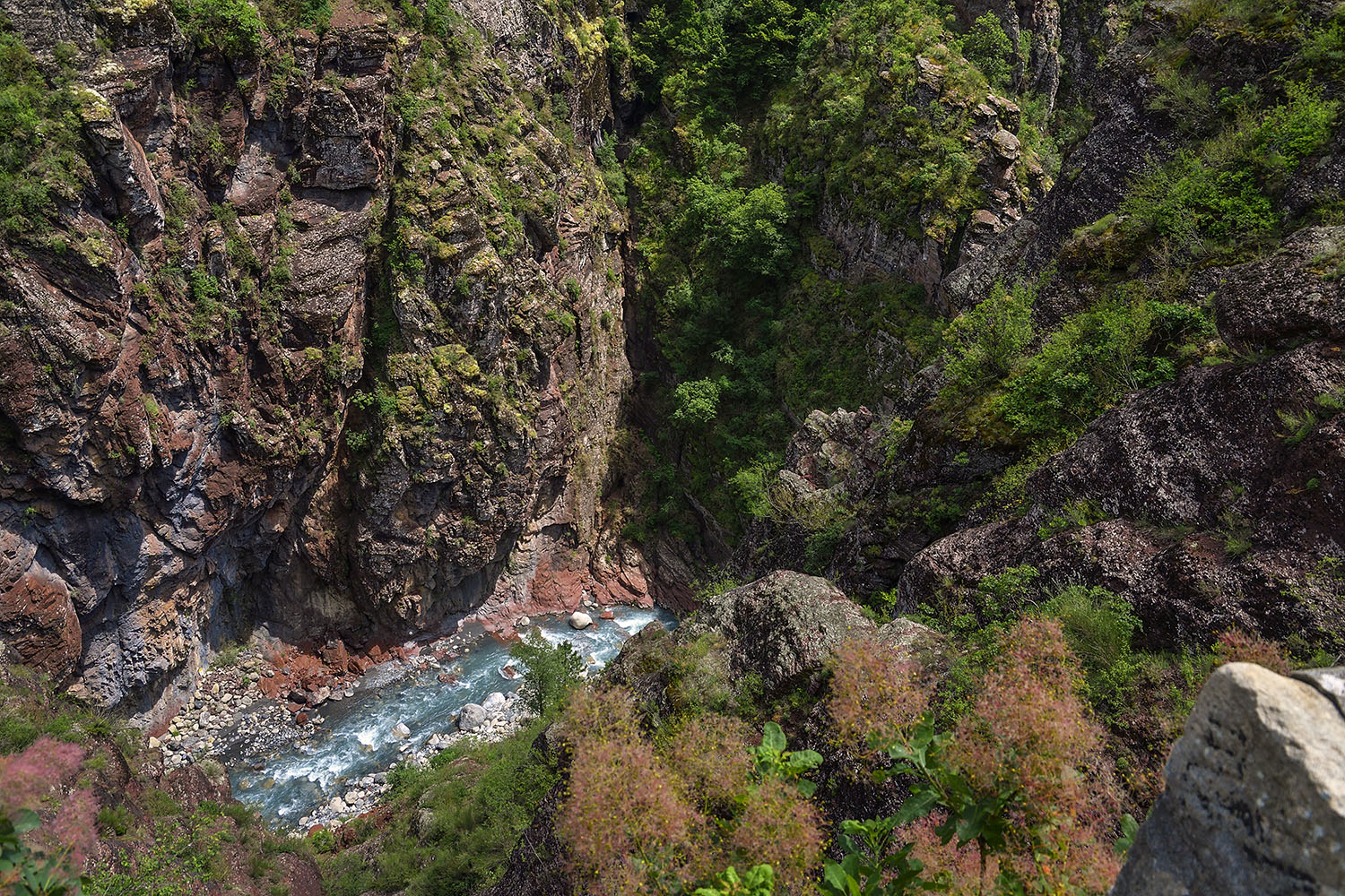 Les gorges du Daluis