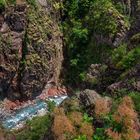 Les gorges du Daluis