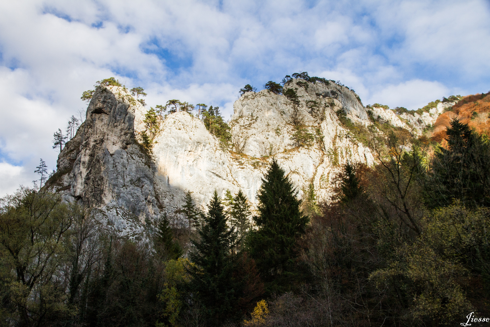 les gorges du Pichoux