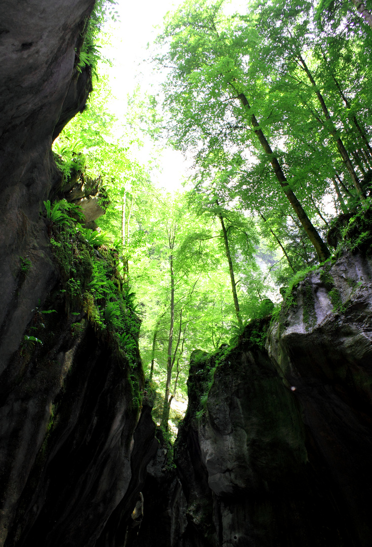 Les Gorges du pont du Diable La Vernaz 74 III