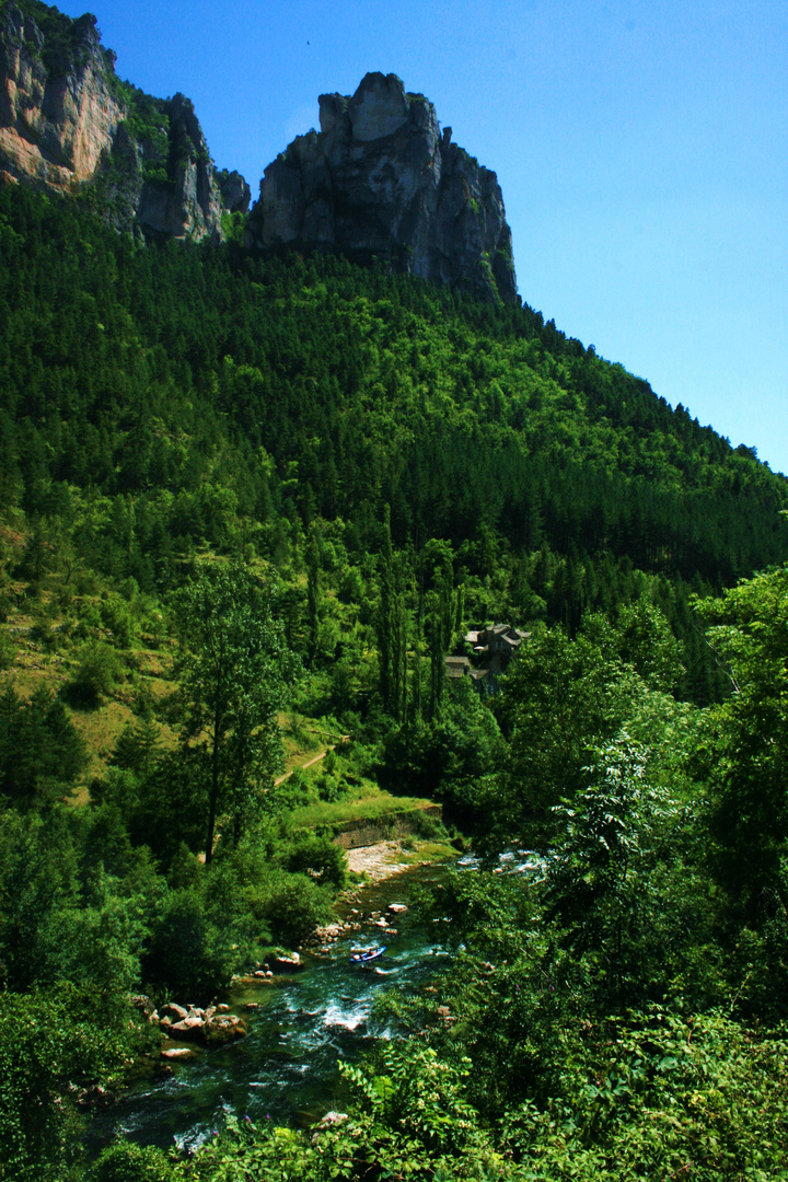 Les gorges du Tarn