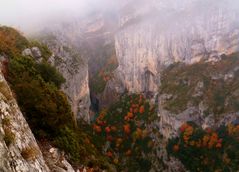 *les gorges du verdon*