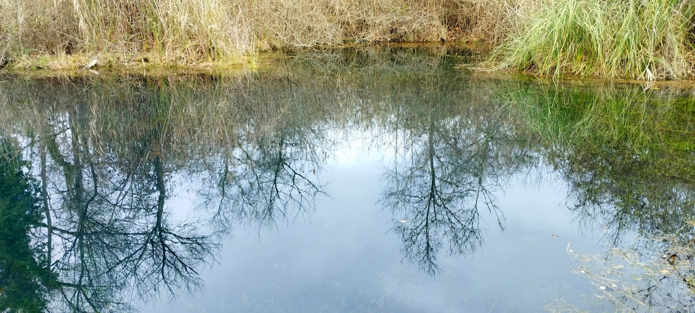 Les Gours Bénis,  Bras (Var)