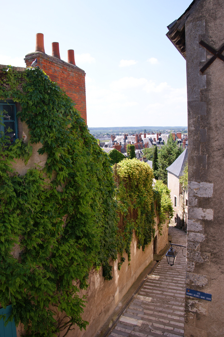 Les Grands Degrés Saint Louis à Blois