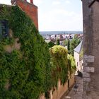 Les Grands Degrés Saint Louis à Blois