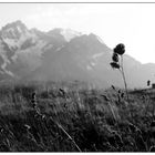 Les Granges-du-Galibier, August 2011