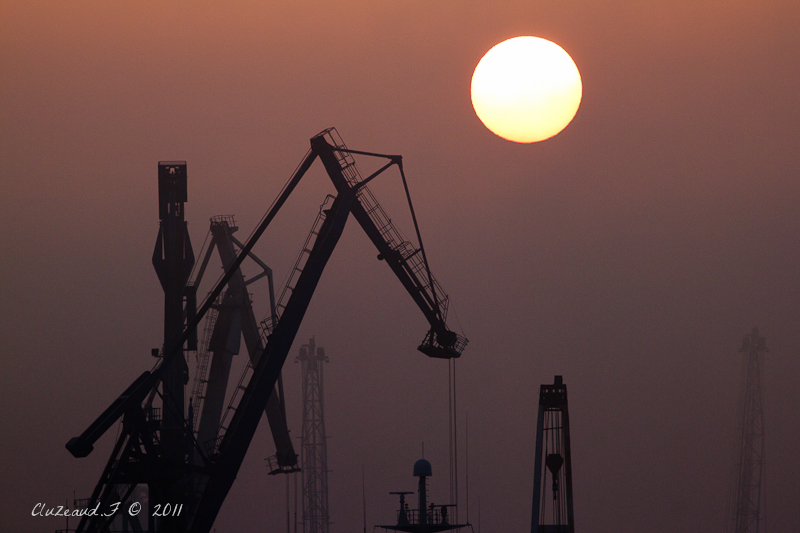 les grues du port